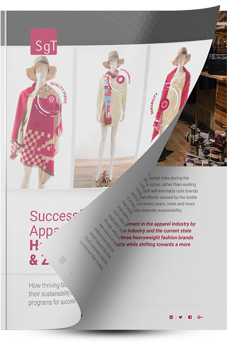 eBook: Successful Apparel Brands: How H&M, Patagonia & Zara Do It